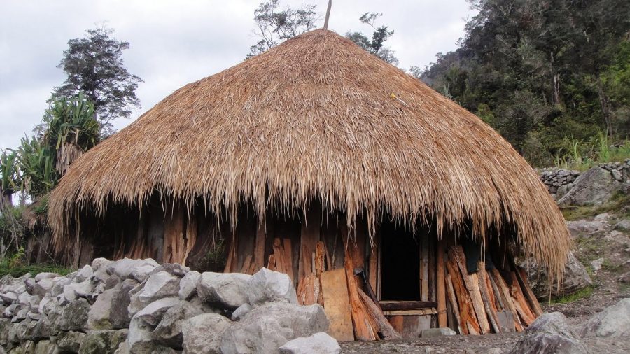 Rumah adat Honai Papua